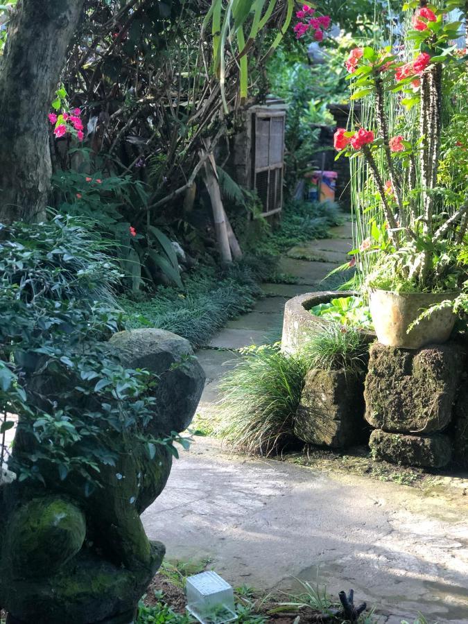 隐迹巴厘住宿加早餐旅馆 乌布 外观 照片