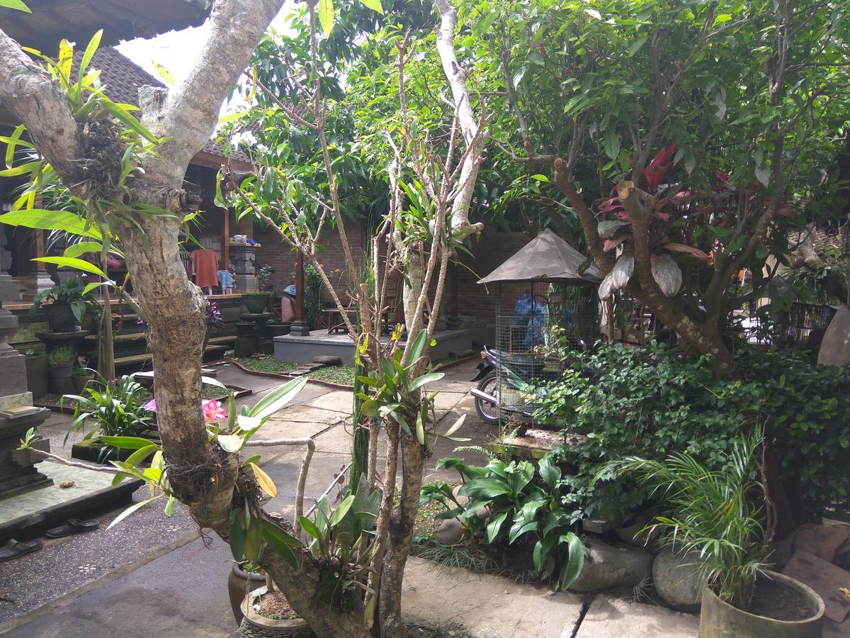 隐迹巴厘住宿加早餐旅馆 乌布 外观 照片